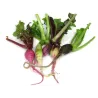Mini Radish Mix |PUURgroenten