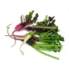 Mini Radish Mix |PUURgroenten