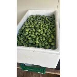 Meloenkomkommers Zoetzuur | PUURgroenten