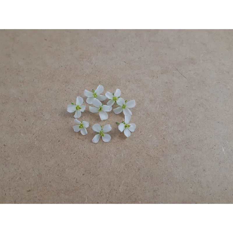 Rucola Wasabi Bloemetjes – PUURgroenten