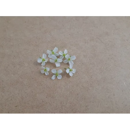 Rucola Wasabi Bloemetjes – PUURgroenten