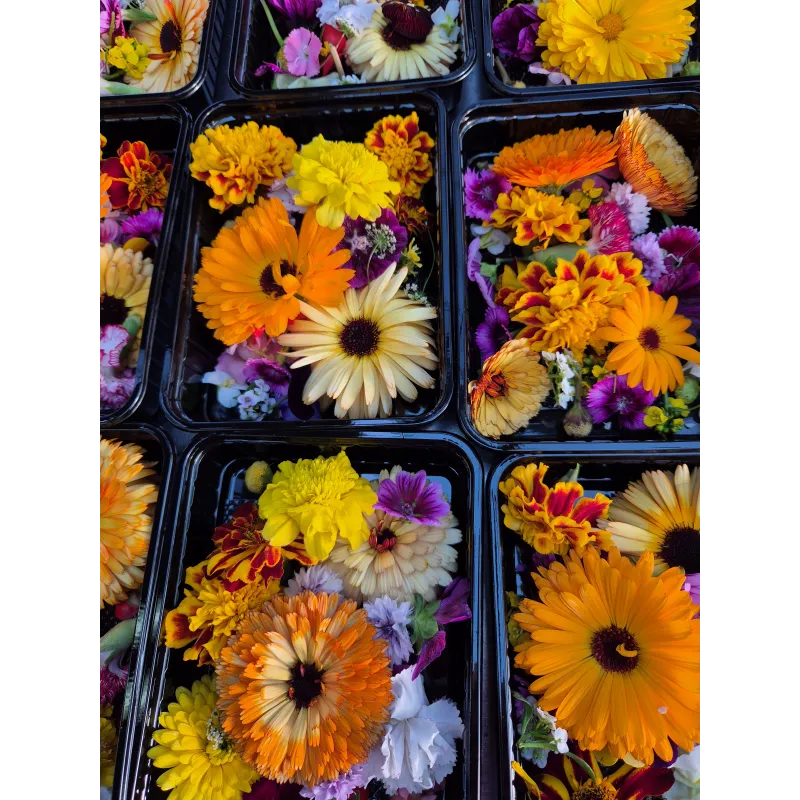 Edible chefstable flower mix you buy at PUURgroenten