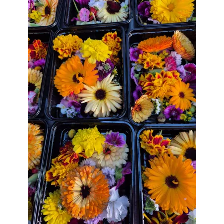 Edible chefstable flower mix you buy at PUURgroenten
