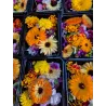 Edible chefstable flower mix you buy at PUURgroenten