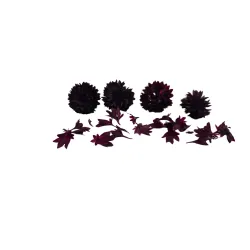 Korenbloemen Mix - Kleurrijk & Smaakvol | PUURgroenten