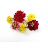 Zinnia Bloemen Mix – Kleurrijke Eetbare Bloemen van PUURgroenten