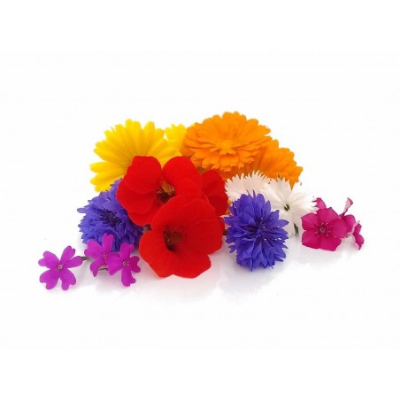 Edible chefstable flower mix you buy at PUURgroenten Edible chefstable flower mix you buy at PUURgroenten
