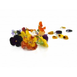 Eatable Pansies Mix - Discover Delicate Flowers in Culinary Perfection