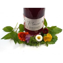 Gourmetbox von PUURgroenten – Luxus-Auswahl an frischem Gemüse und Kräutern