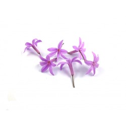 Verrijk jouw gerechten met onze verse eetbare bloemen, waaronder knoflookbloemen - PUURgenot voor jouw smaakpapillen!