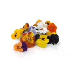 Eatable Pansies mix - Discover Delicate Flowers in Culinary Perfection