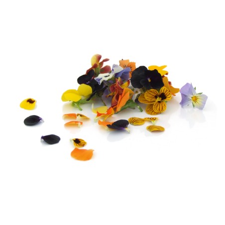 Eatable Pansies Mix - Discover Delicate Flowers in Culinary Perfection