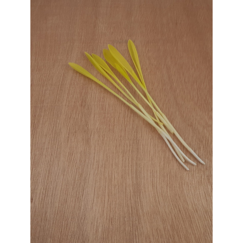 Süßmaissprossen – Exquisit und Nahrhaft – PUURgroenten