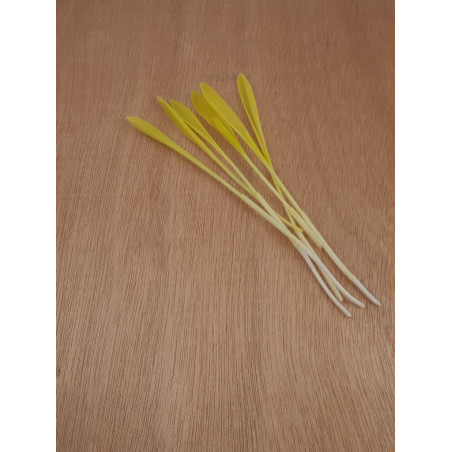 Süßmaissprossen – Exquisit und Nahrhaft – PUURgroenten