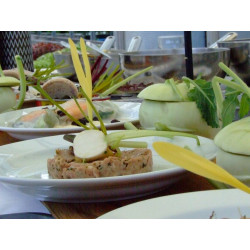 Süßmaissprossen – Exquisit und Nahrhaft – PUURgroenten