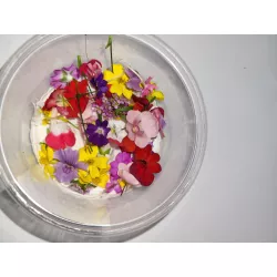 Eetbare bloemen | Fine Dining bloemenmix | PUURgroenten