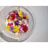 Eetbare bloemen | Fine Dining bloemenmix | PUURgroenten