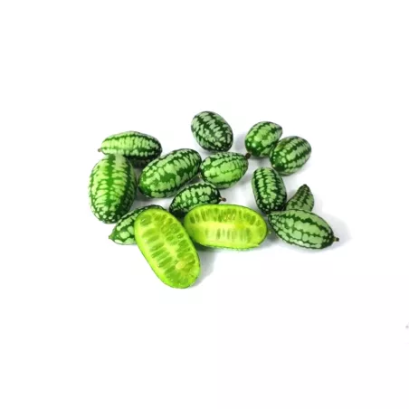 Fresh Mini Cucumbers | Melon Cucumbers | Cucamelons | PUURgroenten Fresh Mini Cucumbers | Melon Cucumbers | Cucamelons | PUURgroenten