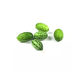 Mini-Gurken (Cucamelons) – Erfrischend und Gesund – PUURgroenten