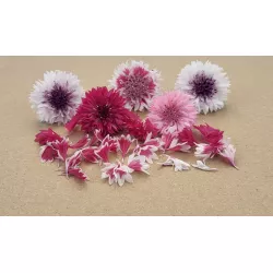 Korenbloemen Mix - Kleurrijk & Smaakvol | PUURgroenten