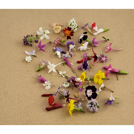 Eetbare bloemen | Fine Dining bloemenmix | PUURgroenten