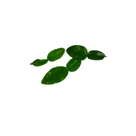 Kaffir lime leaves | PUURgroenten | fresh herbs Kaffir lime leaves | PUURgroenten | fresh herbs