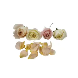 Essbare Rosen – Aromatische Blüten von PUURgroenten