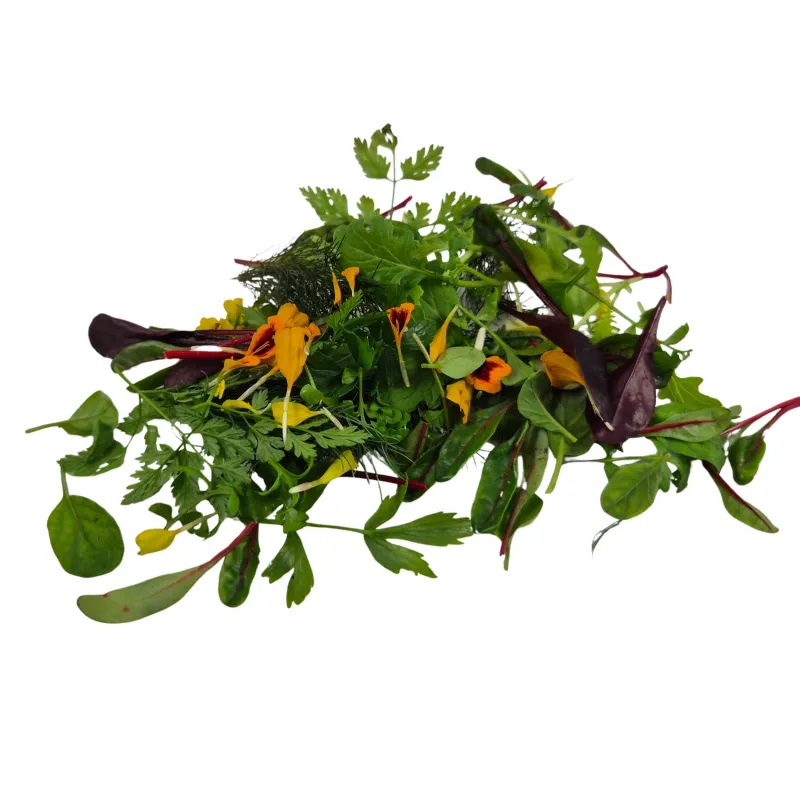 Wilde kruidenmix | PUURgroenten | mini groenten