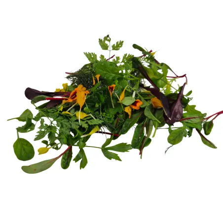 Wild herb mix | PUURgroenten | baby vegetables Wild herb mix | PUURgroenten | baby vegetables