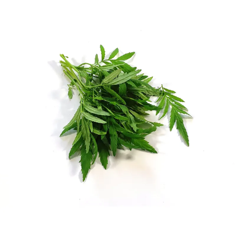 Huacatay - Peruaanse munt | Kruiden | PUURgroenten