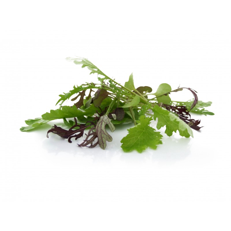 Mini Featherleaf Rood & Groen + Pikante Mix | PUURgroenten