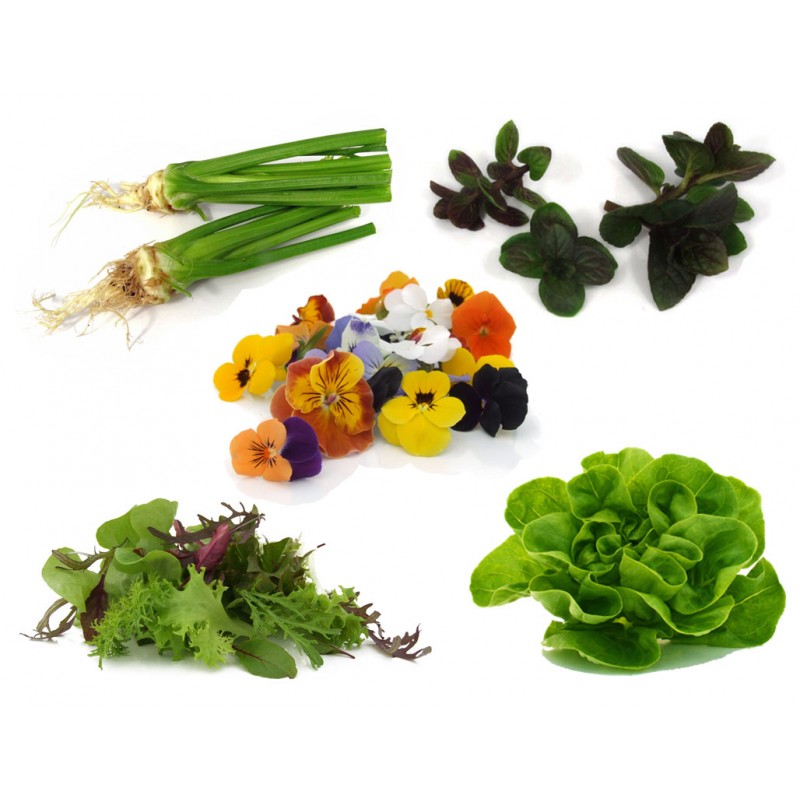 Gourmetbox von PUURgroenten – Luxus-Auswahl an frischem Gemüse und Kräutern