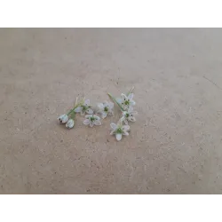 Chinese Leek Bloemen – Eetbare Bloemen van PUURgroenten