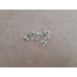 Chinesische Lauchblüten – Essbare Blumen von PUURgroenten