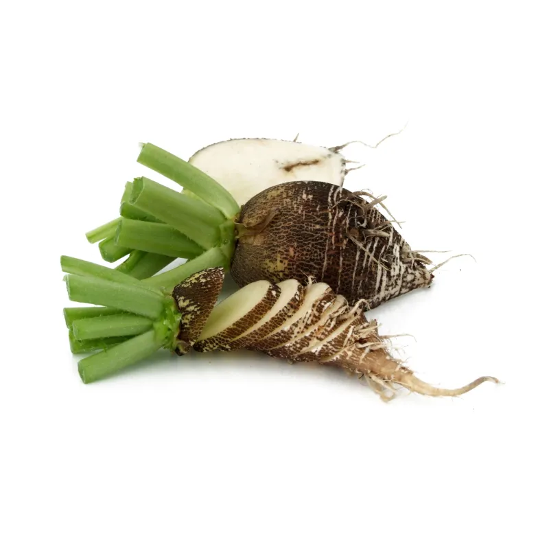 Black Mini Radish – PUURgroenten