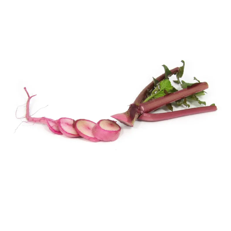 Mini Red Radish |PUURgroenten
