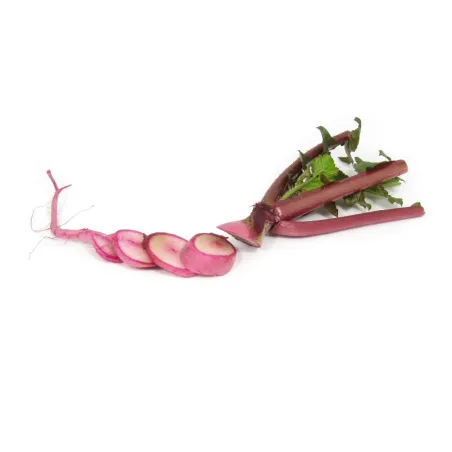 Mini Red Radish |PUURgroenten